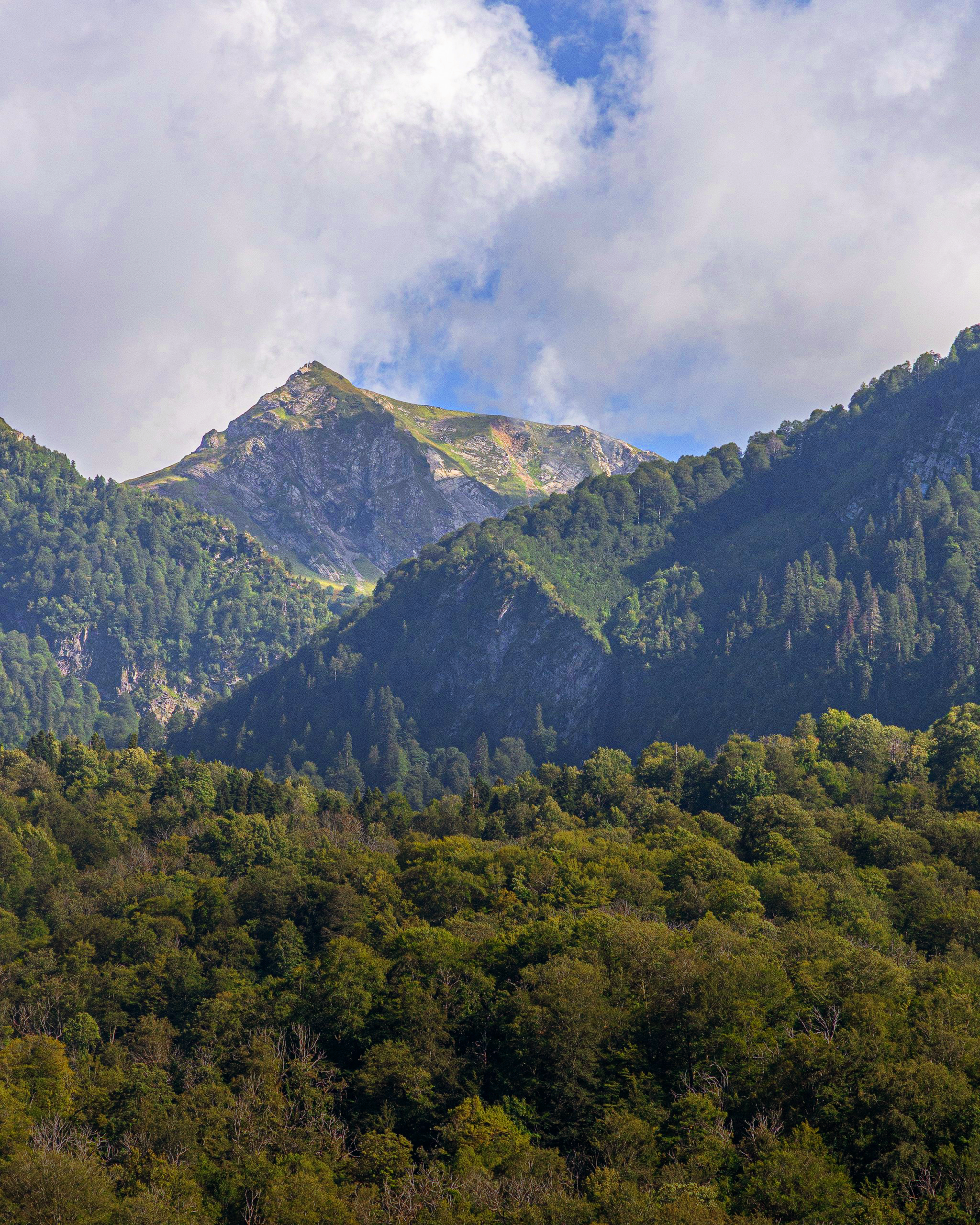 Расположение